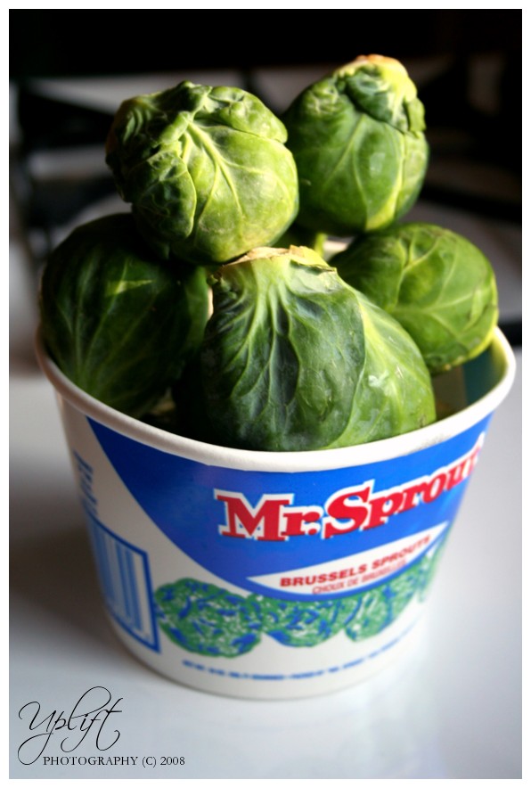 [IMG_4776_edit_LOGO.jpg]