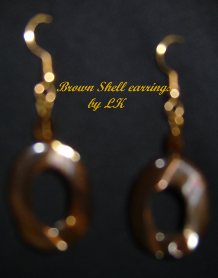 [Brown+Shell+earrings+by+LK.JPG]