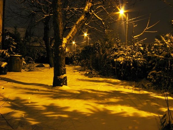 Winter-scene-night-1.jpg