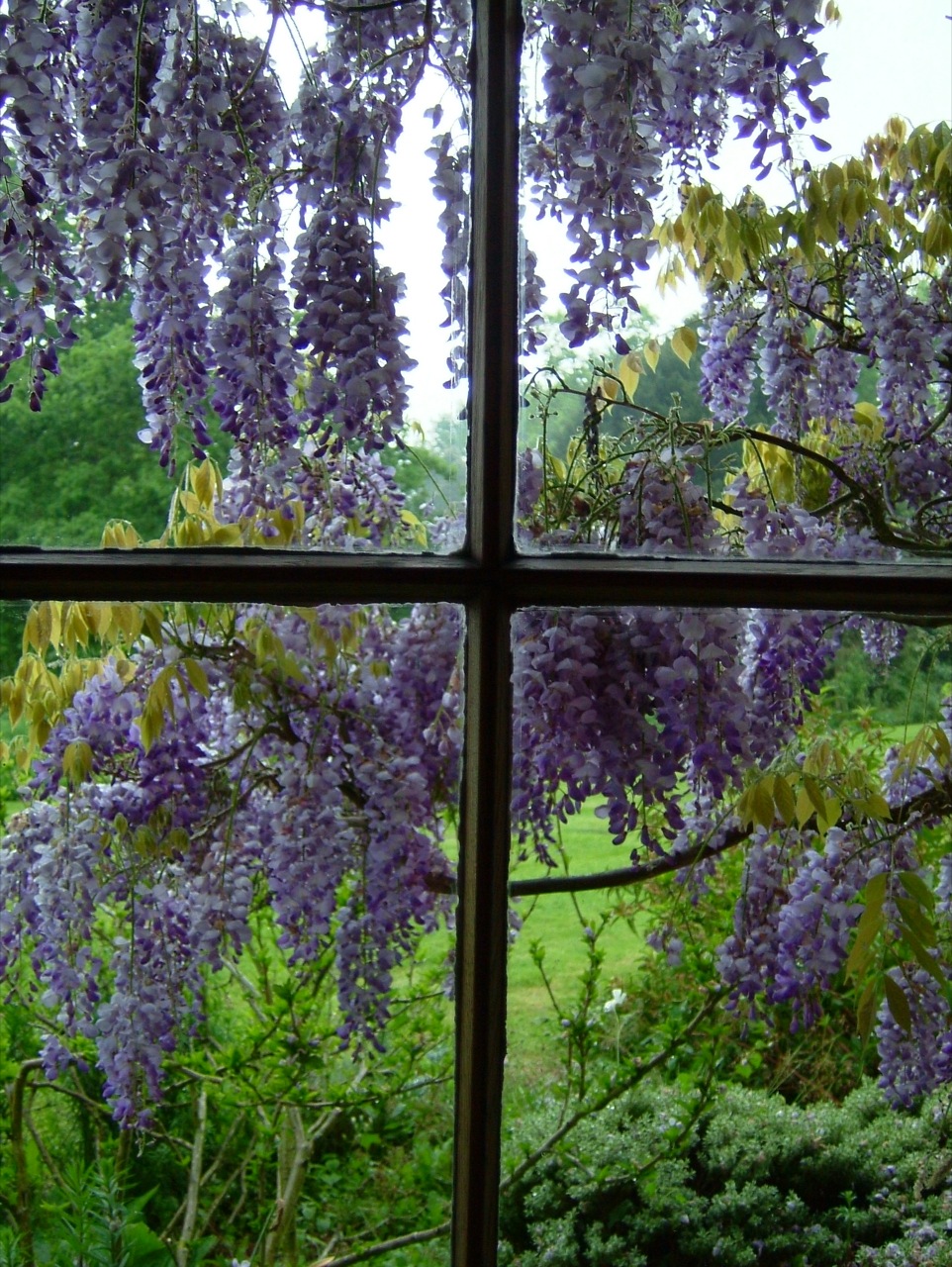 Ewa in the Garden: 33 Amazing Pictures Hand Picked - Vine ...