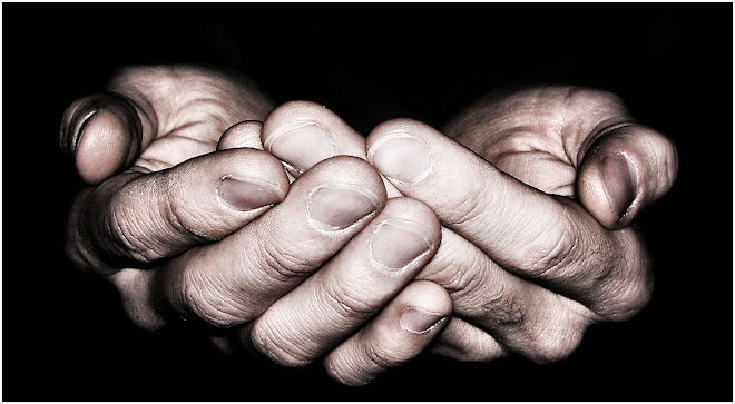 ....Raccogliere ...comunque...e sempre...tutto quello che si semina