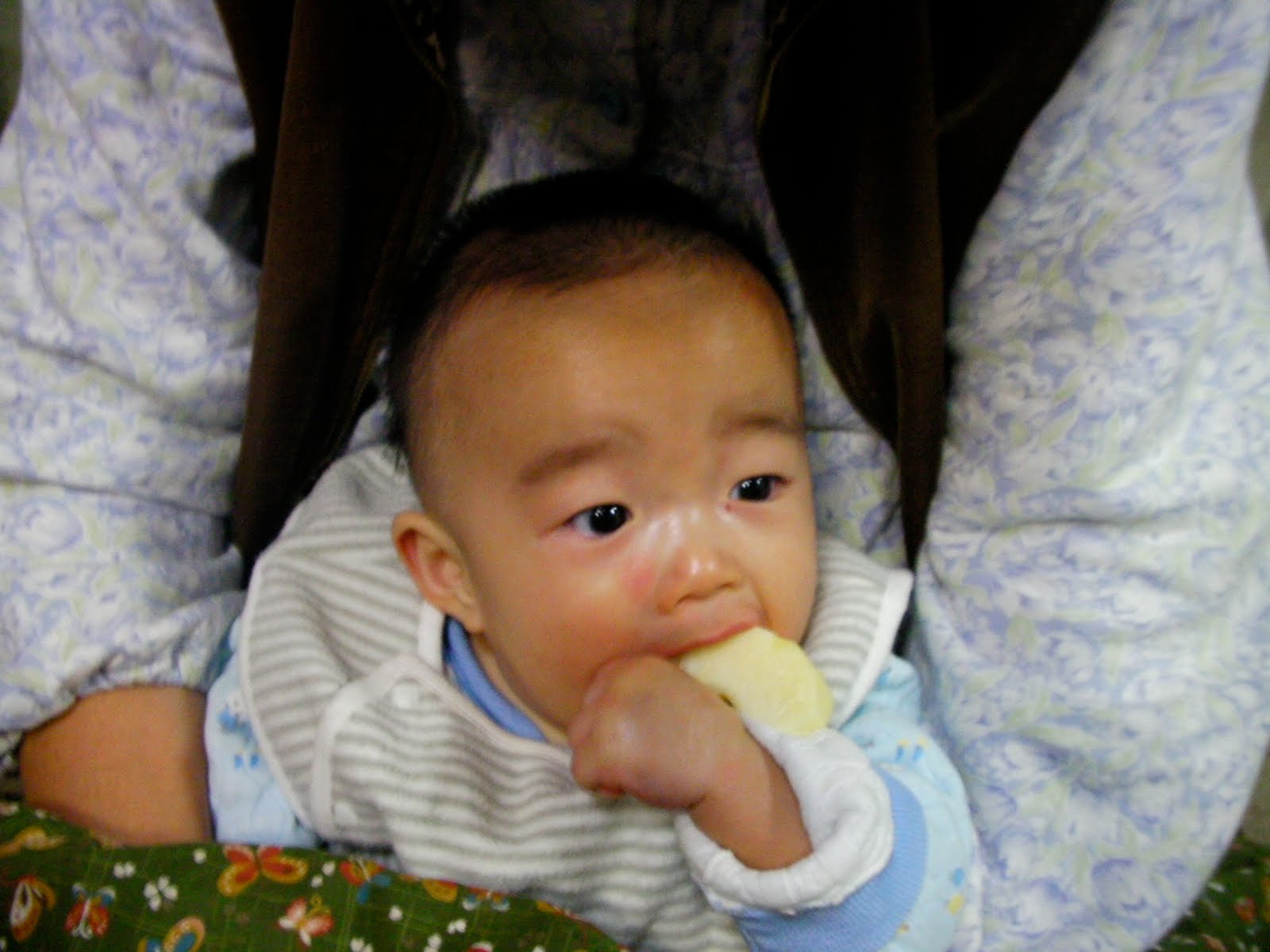 [SANY0049.JPG]