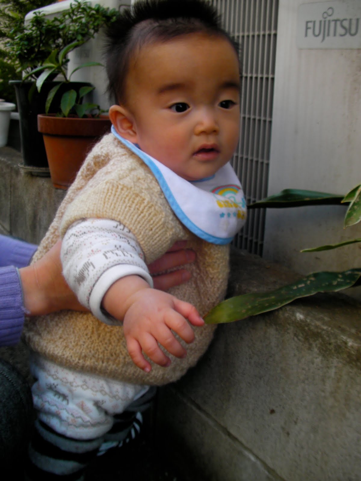 [SANY0043.JPG]