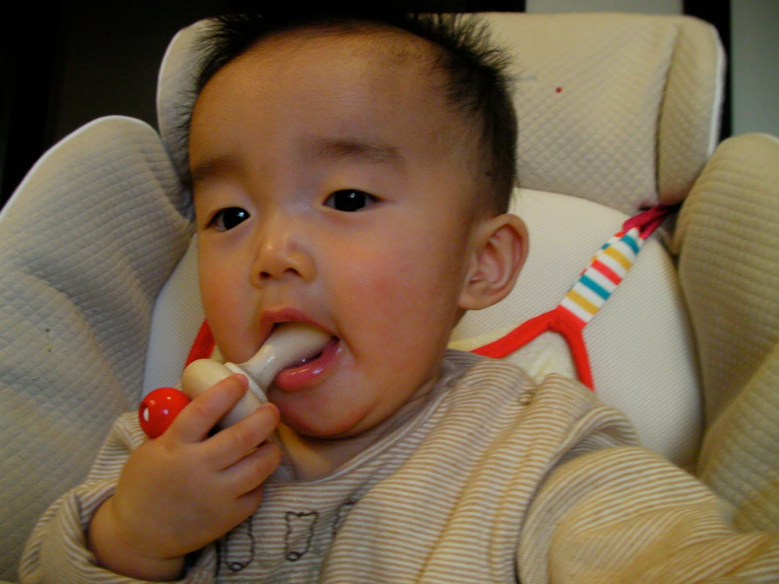 [SANY0040.JPG]