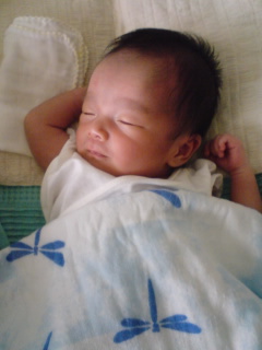 [090729_1320~01-724802.jpg]