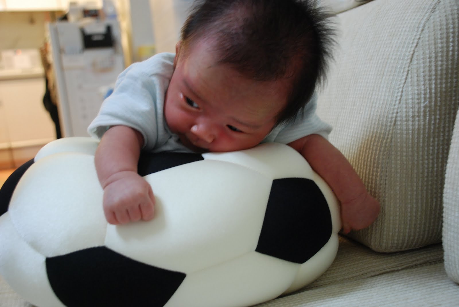 [DSC_4695.JPG]