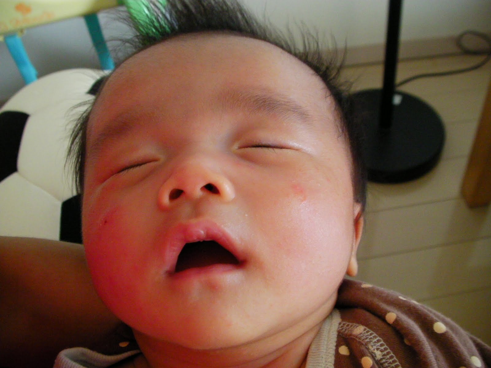 [SANY0034.JPG]