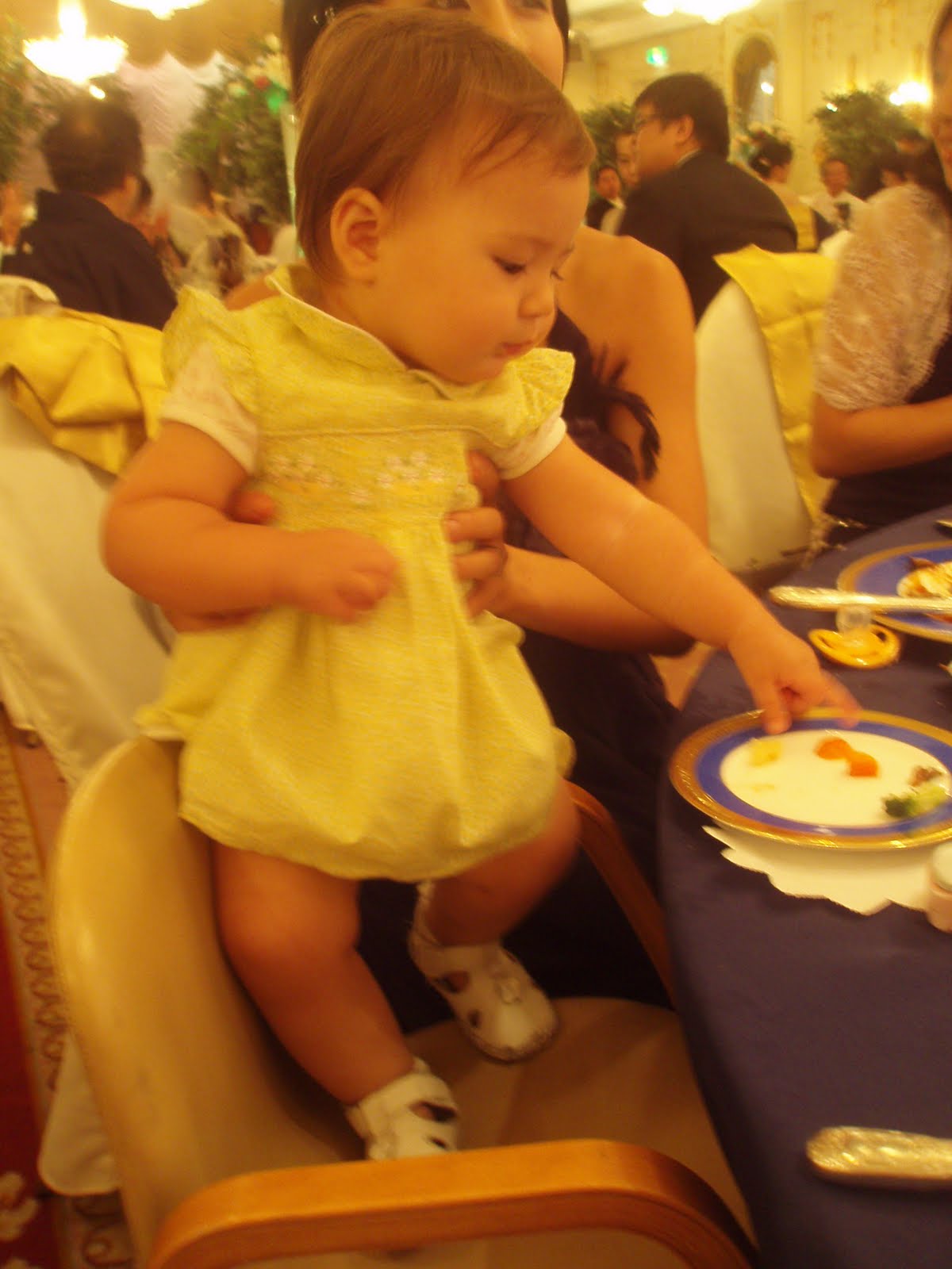 [PA110065.JPG]