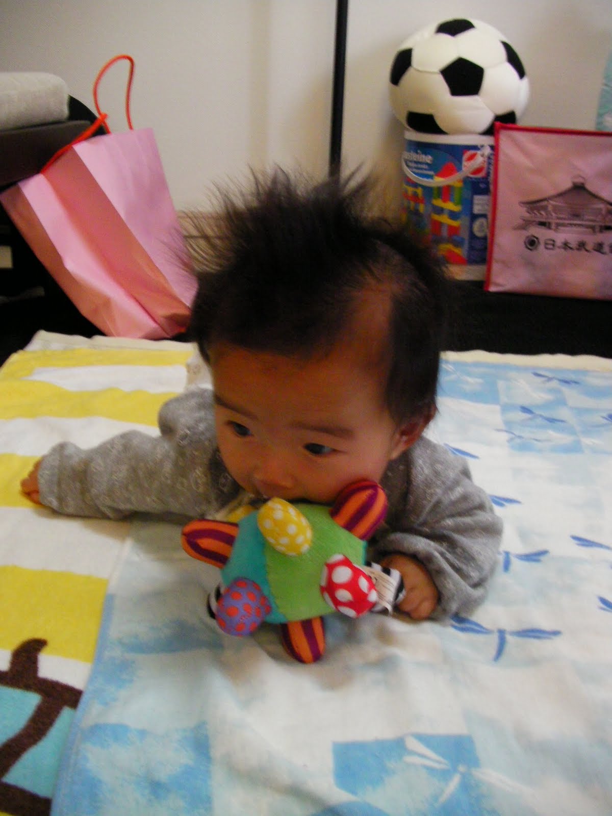 [SANY0014.JPG]