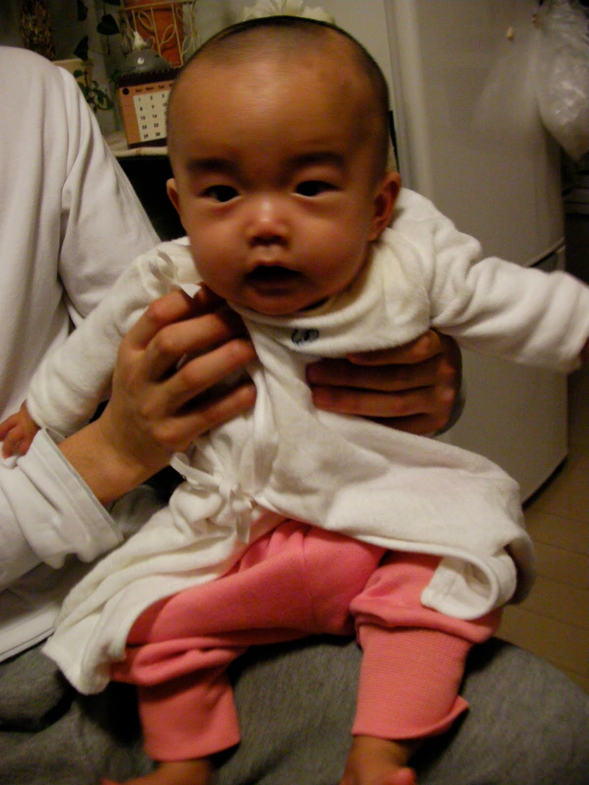 [SANY0074.JPG]