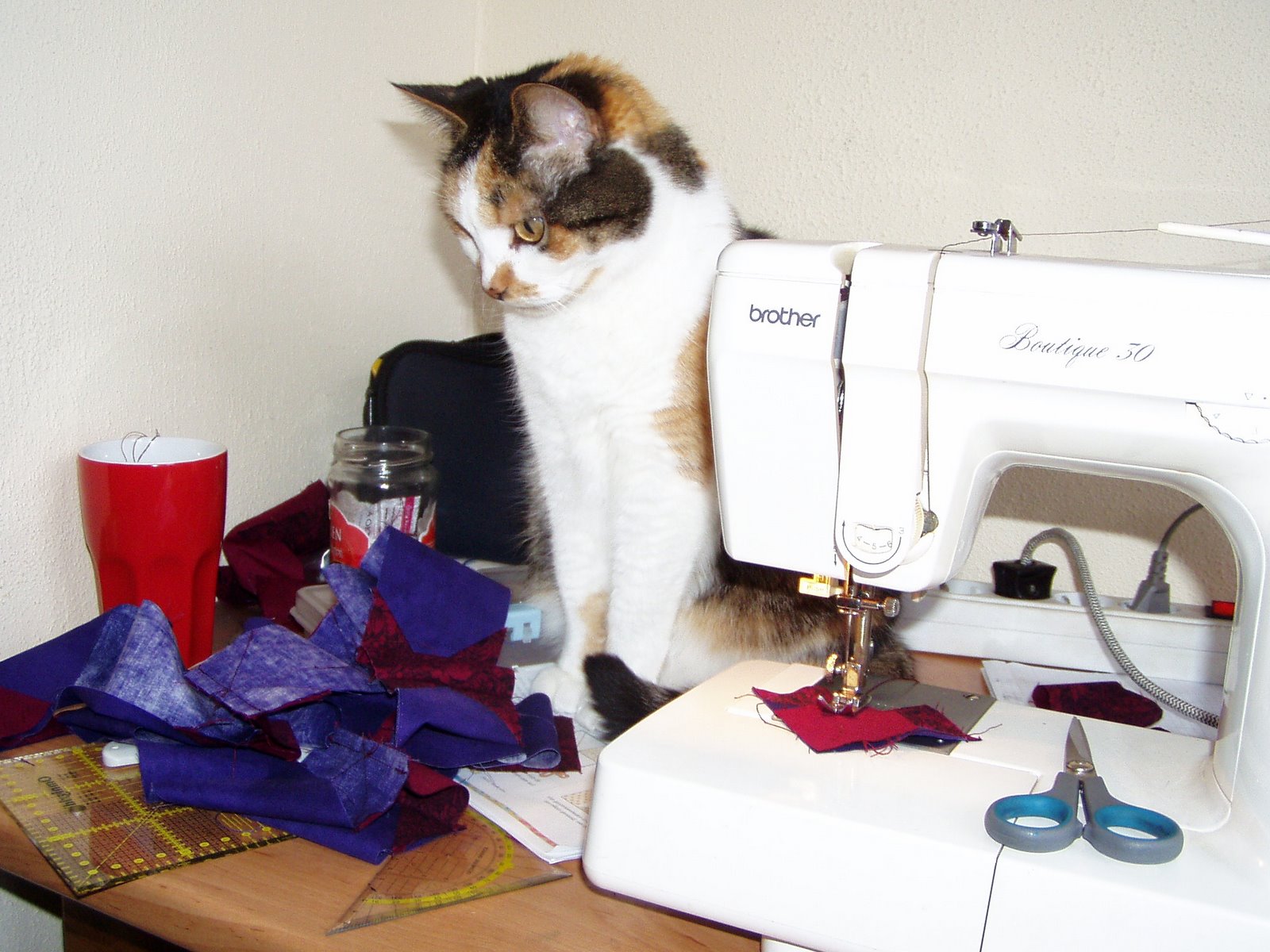 [kitty+helpt.JPG]