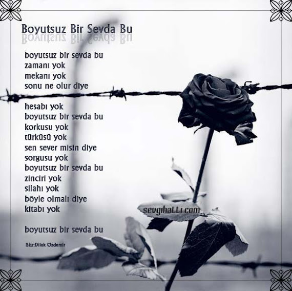 boyutsuz_sevda.jpg