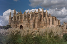 La Seu de Ciutat de Mallorques