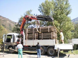 [Y20090824204955904.jpg]