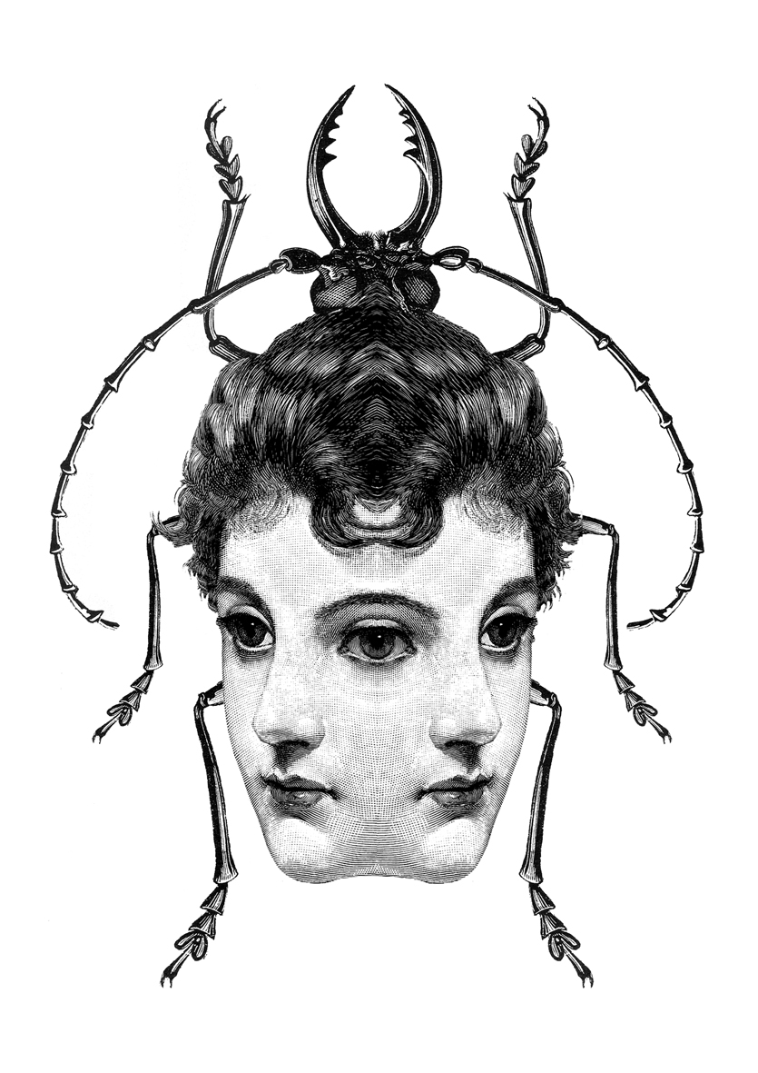 [Metamorphose+Logo_Final.jpg]