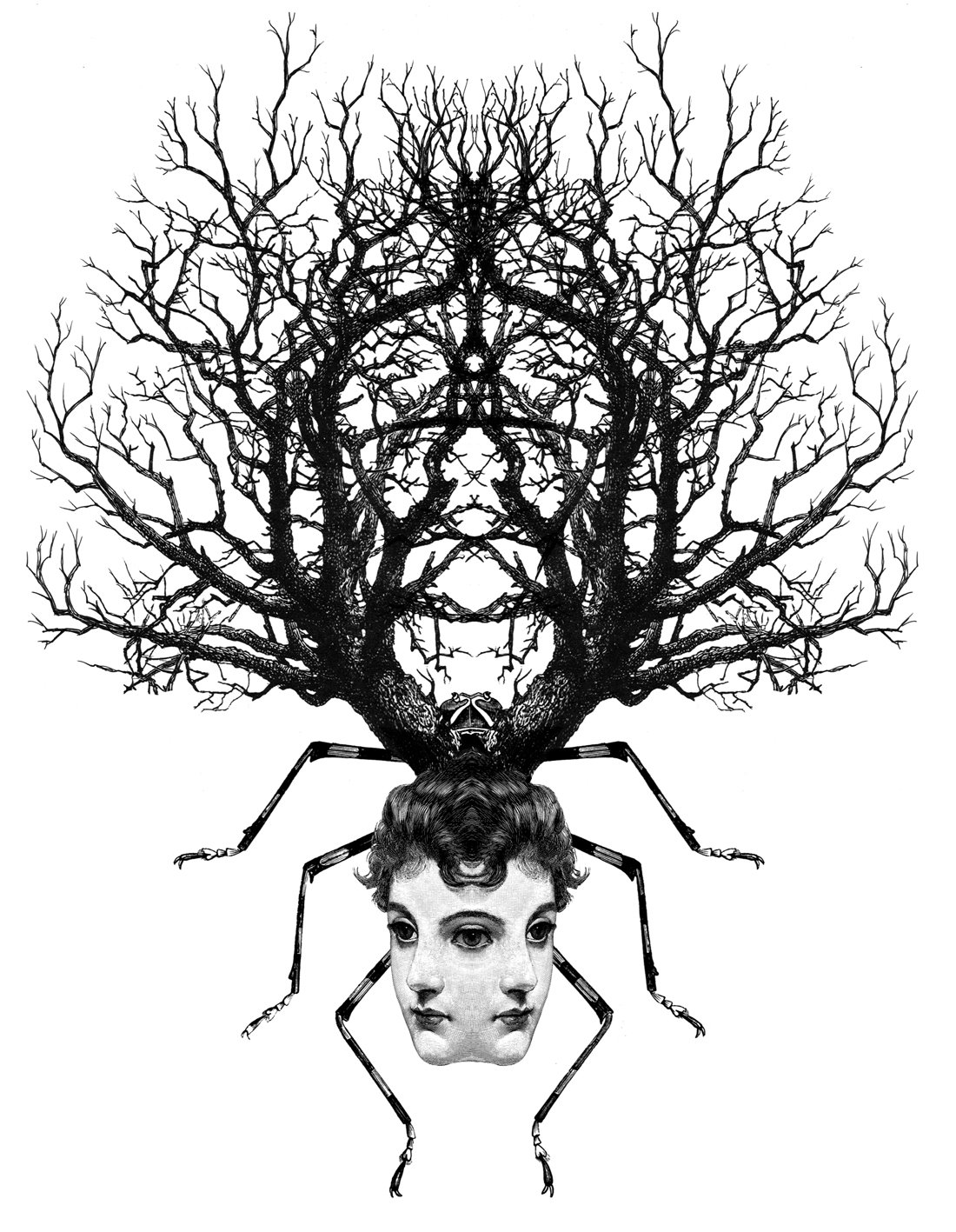 [Meta_Tree-Logo.jpg]