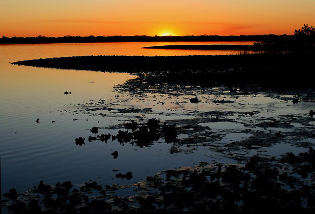 [low+tide+oyster+beds+at+sunset.jpg]