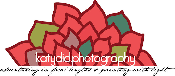 katydid.photography