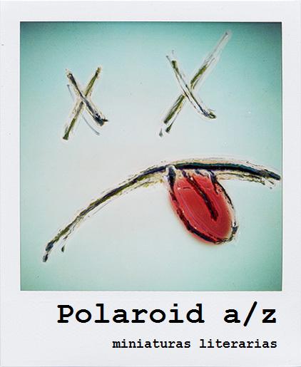 polaroid az