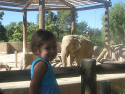 Day at the zoo...
