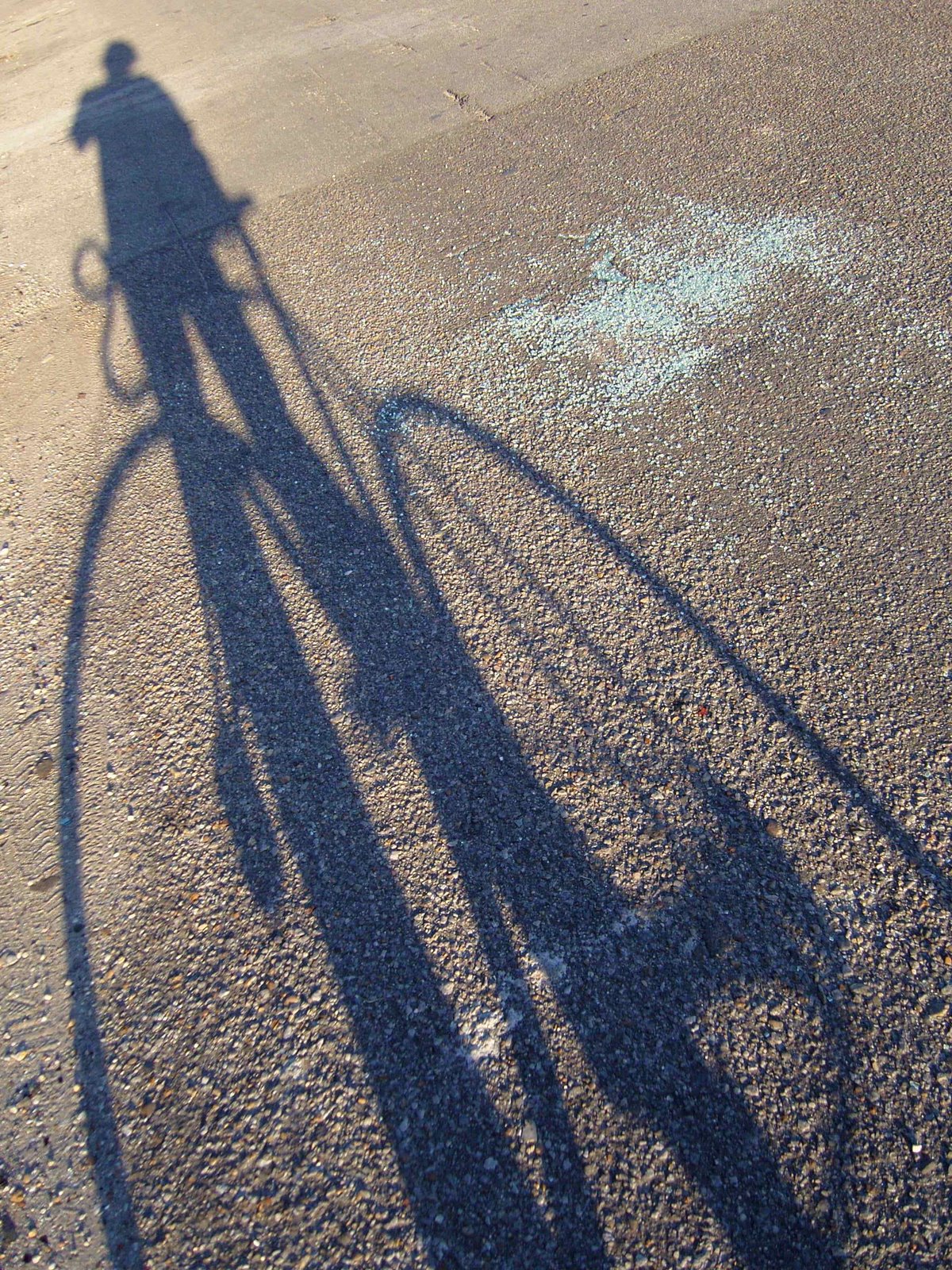 [moi_bike_shadow_blog.jpg]