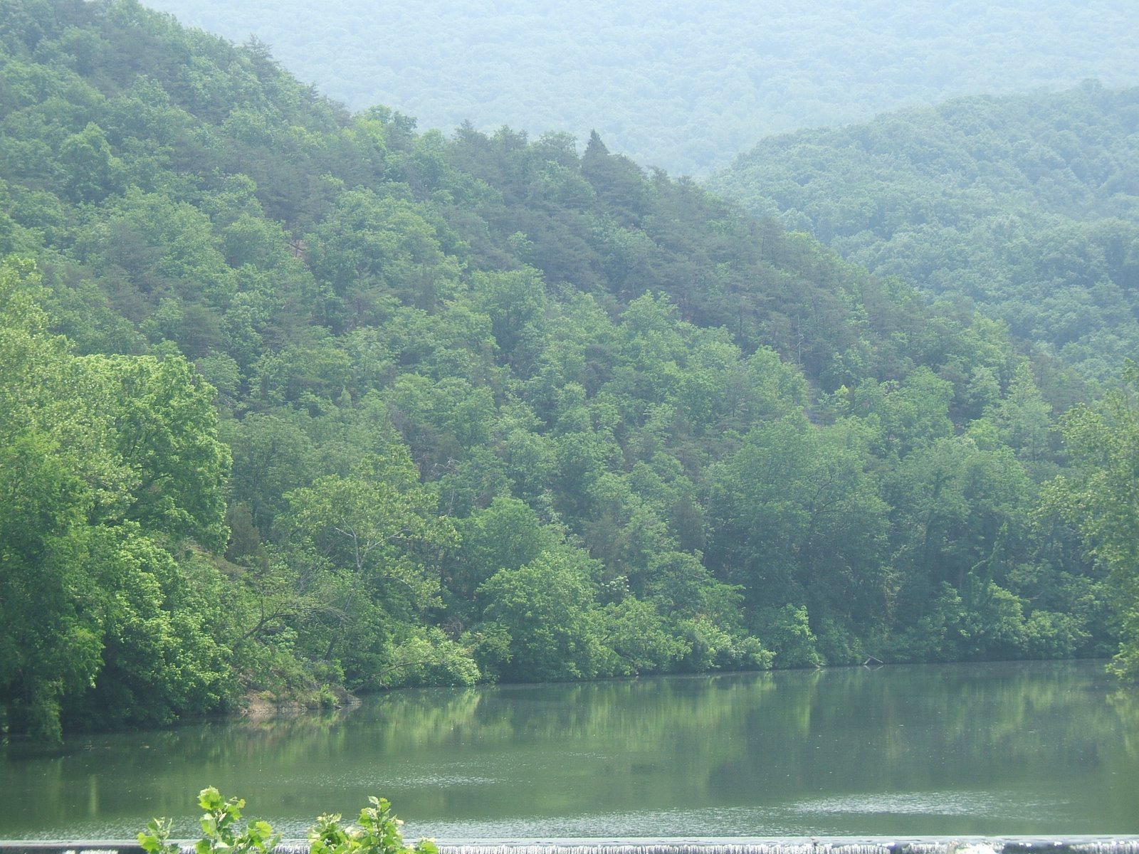 [DSCF4090.JPG]