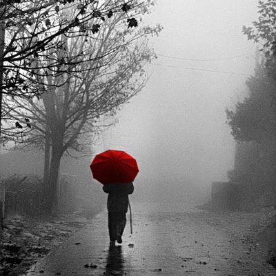 [caminhando-a-chuva.jpeg]