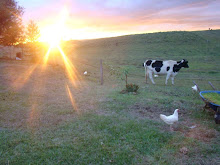 Por do sol nos Campos de Cima da Serra