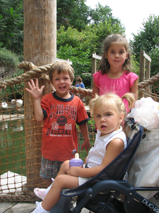Summer Zoo Fun