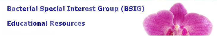 Bacterial Special Interest Group (BSIG)   Educational Resources