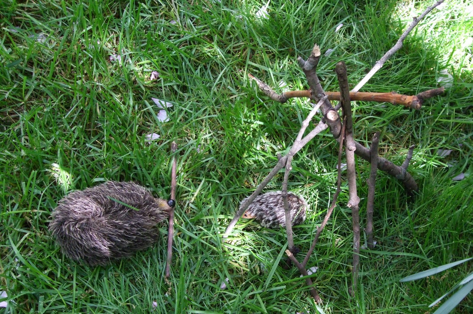 [DSCF2444.JPG]