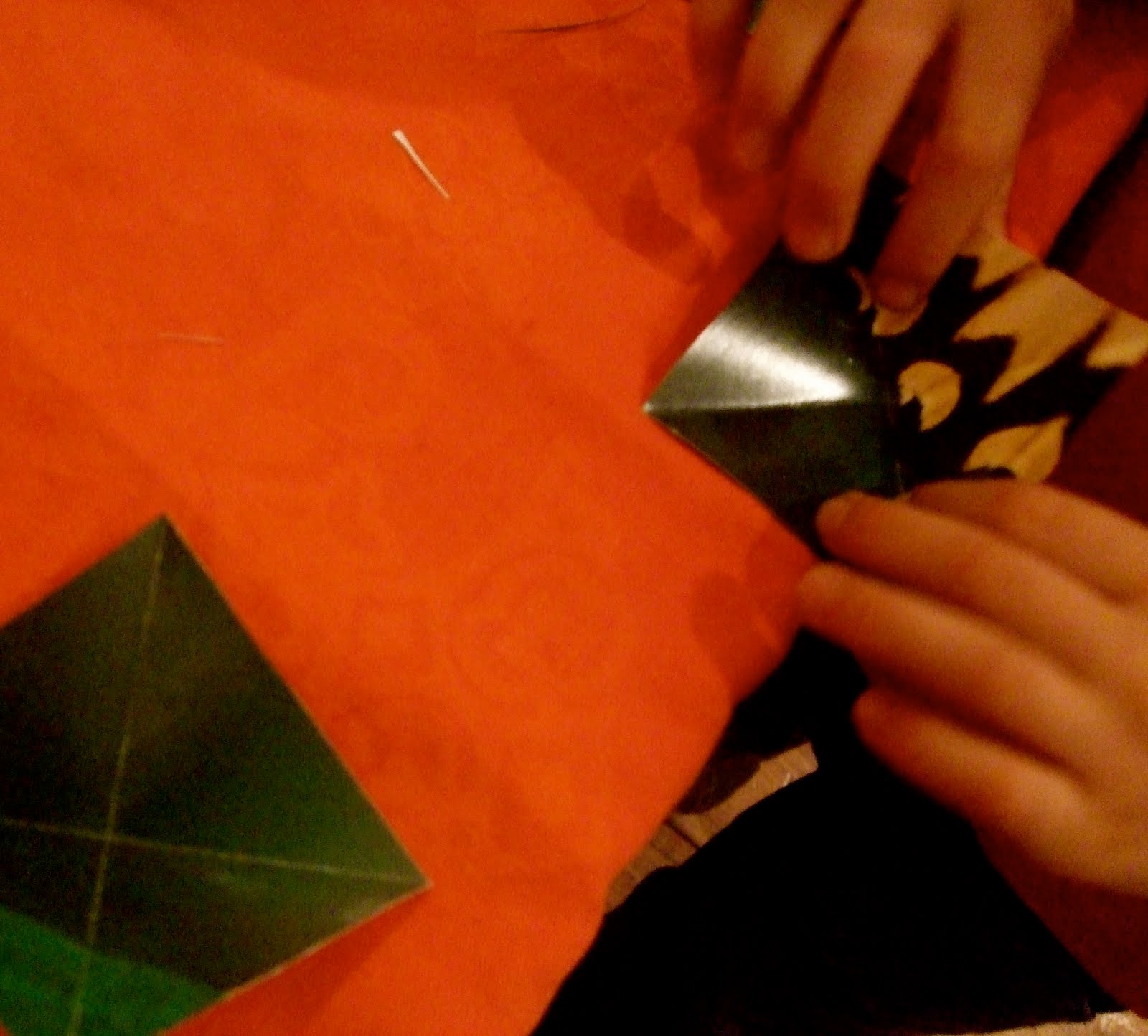 [DSCF8659.JPG]