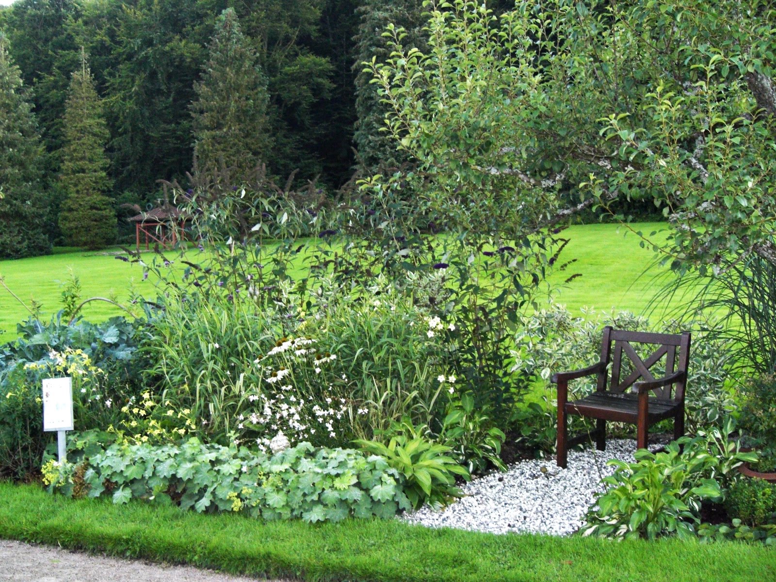 Trädgårdsmästardrömmar: augusti 2010