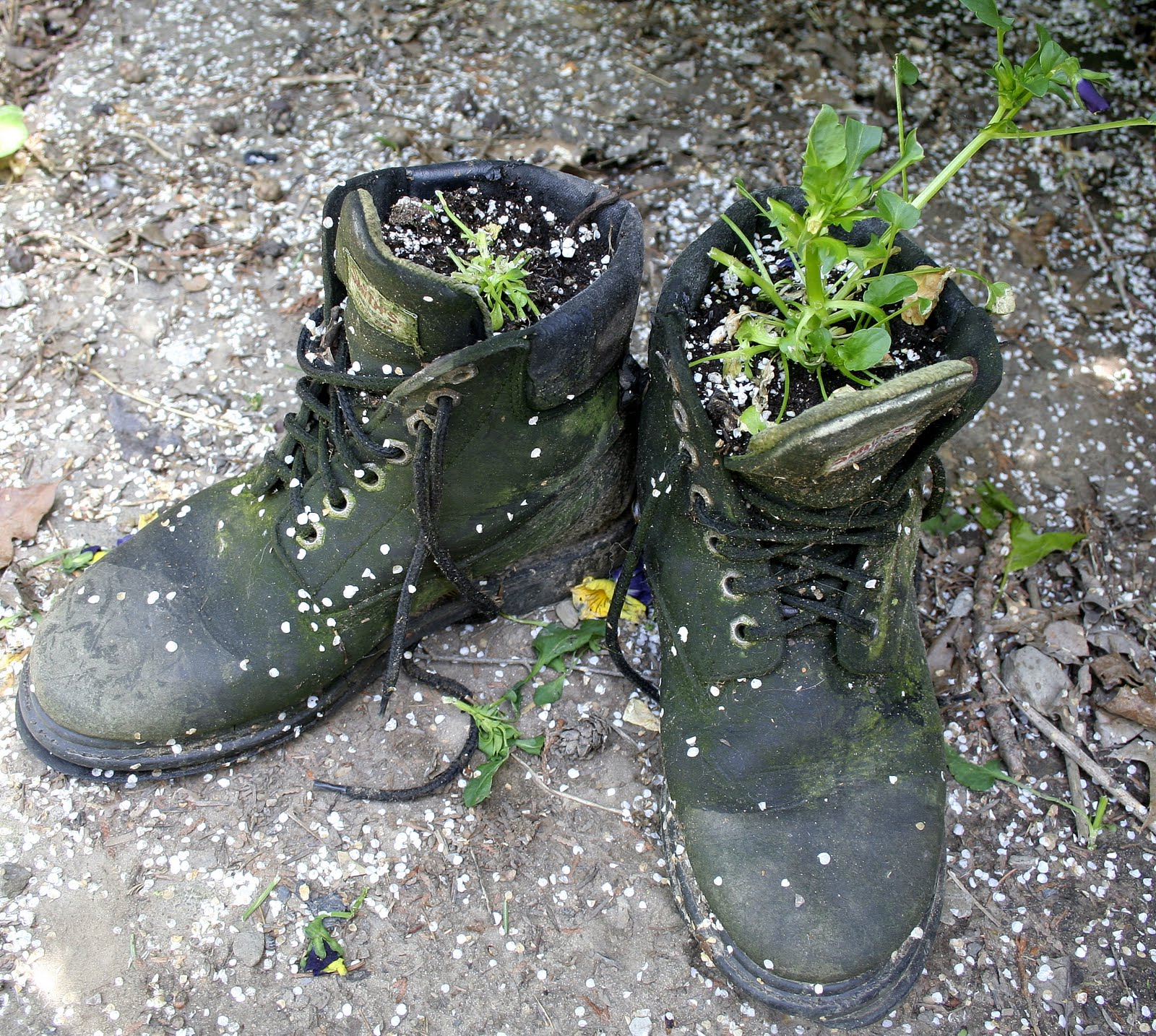Inside My Secret Garden...DaytoDay Living at Cairnwood Cottage Bad