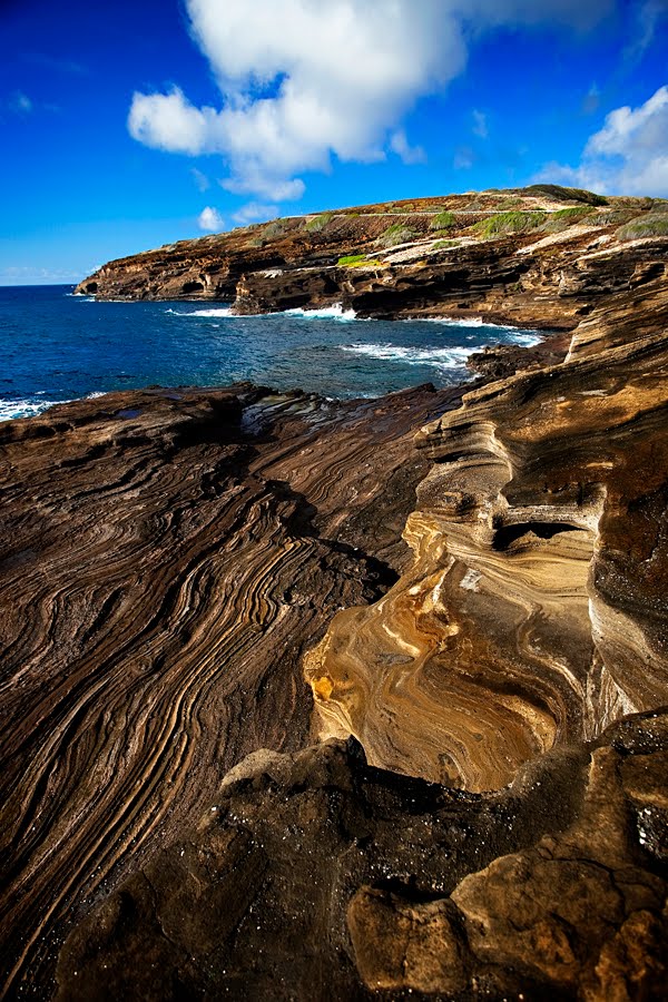 [Windward05web.jpg]