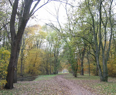 W.H. Vliegenbos, het oudste stadsbos van Amsterdam