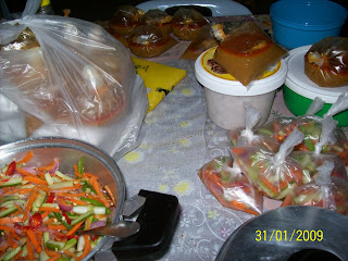 coach hobo malaysiakini