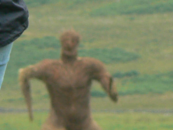 [wickerman3.JPG]