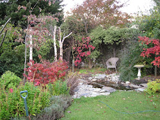 Lesley's Garden