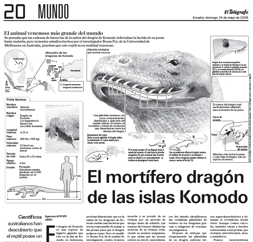 [Imagen+26.png]