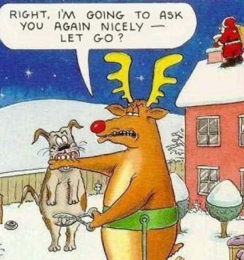 funny christmas cartoons. Merry Christmas with a funny
