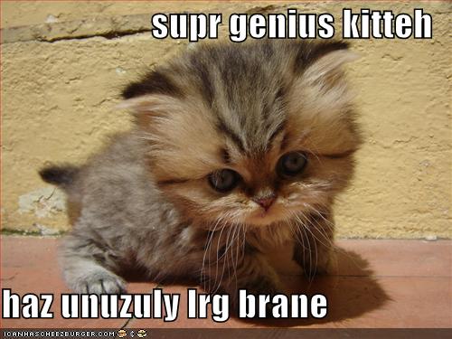 [Image: funny-pictures-super-genius-kitten-has-a...-brain.jpg]
