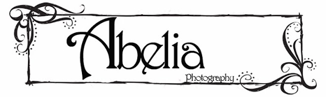 Abelia Photography