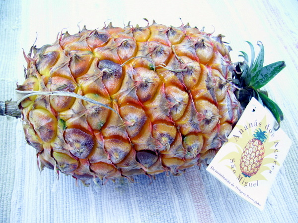 [ananas-SM.JPG]