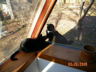 Here Oomi meets Obiwan,