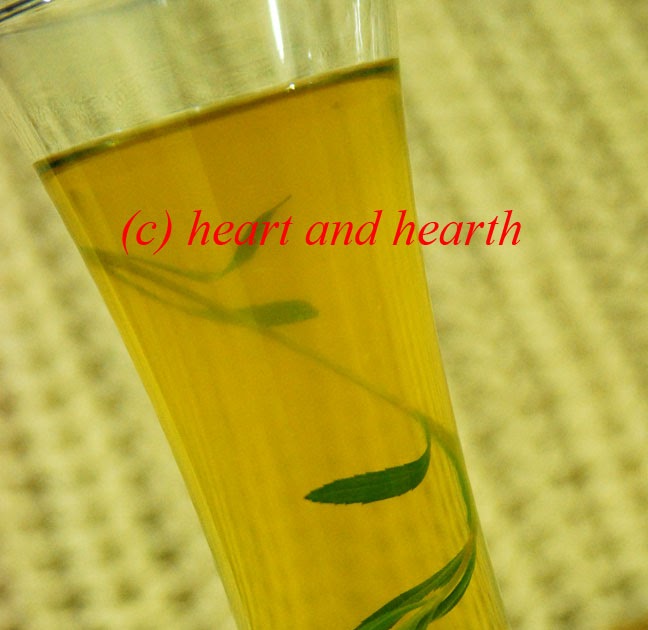 Heart and Hearth Tarragon Green Tea