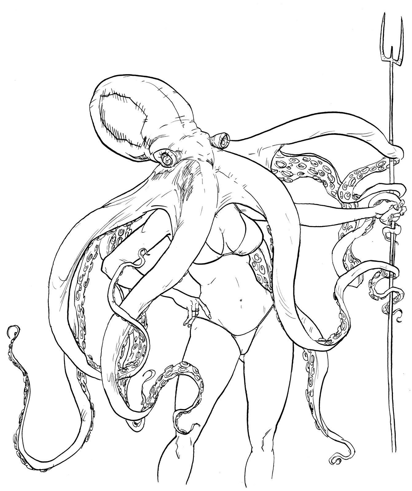 Images Octopus