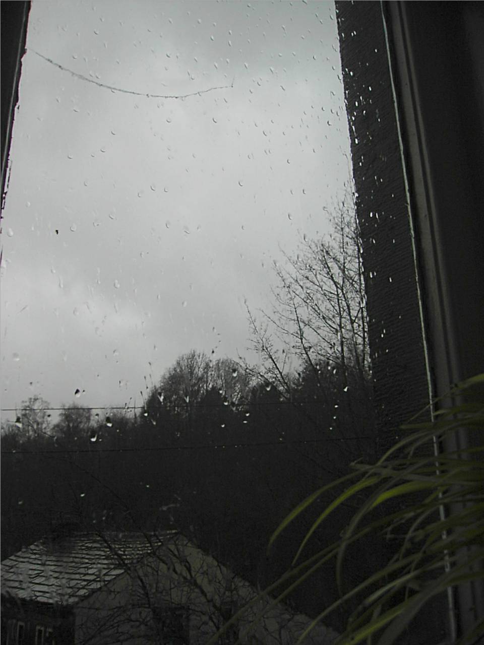 [rainy+window.jpg]