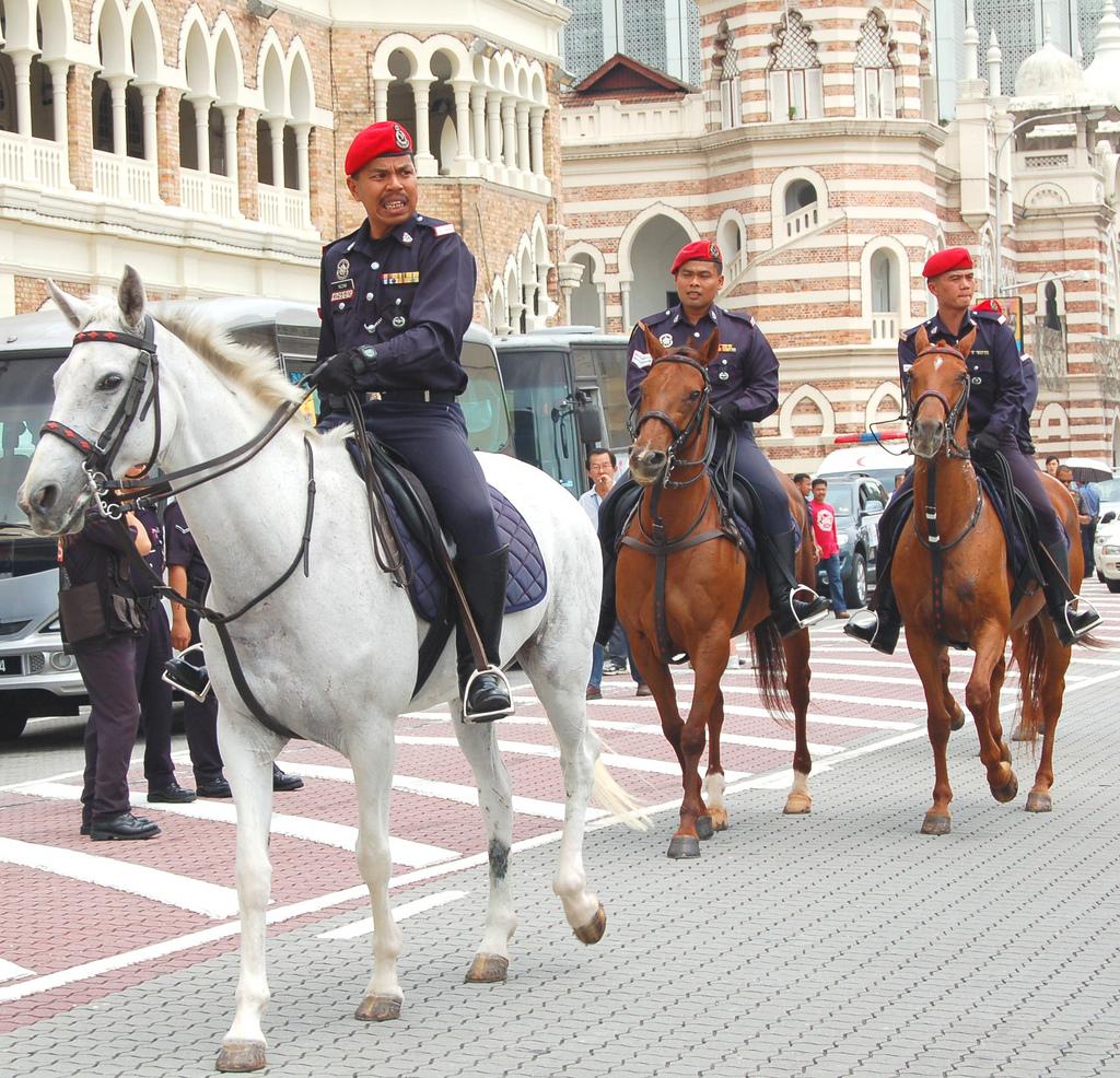 Mounted police Police dogs, Horse rider, War horse