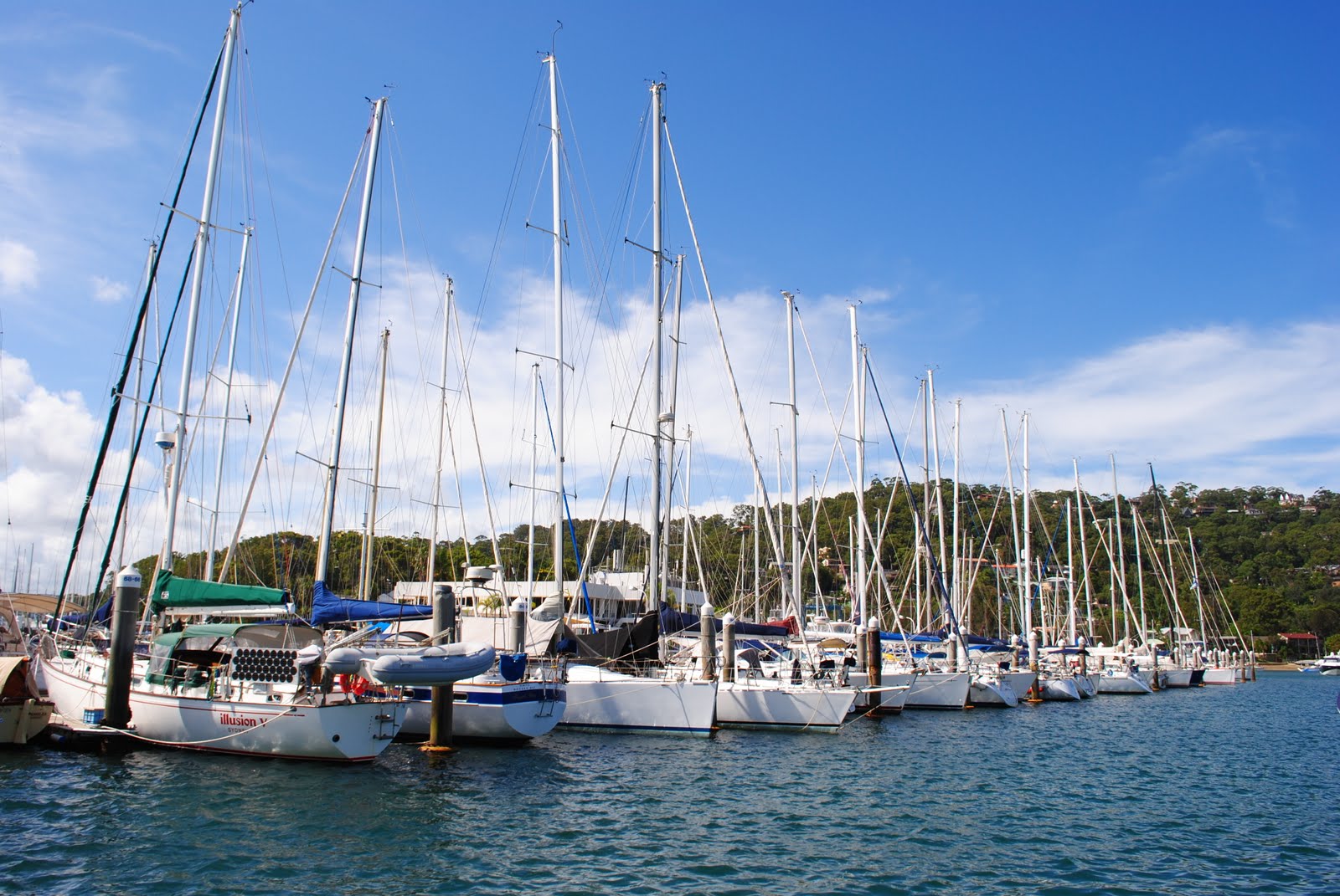 [DSC_0954.JPG]